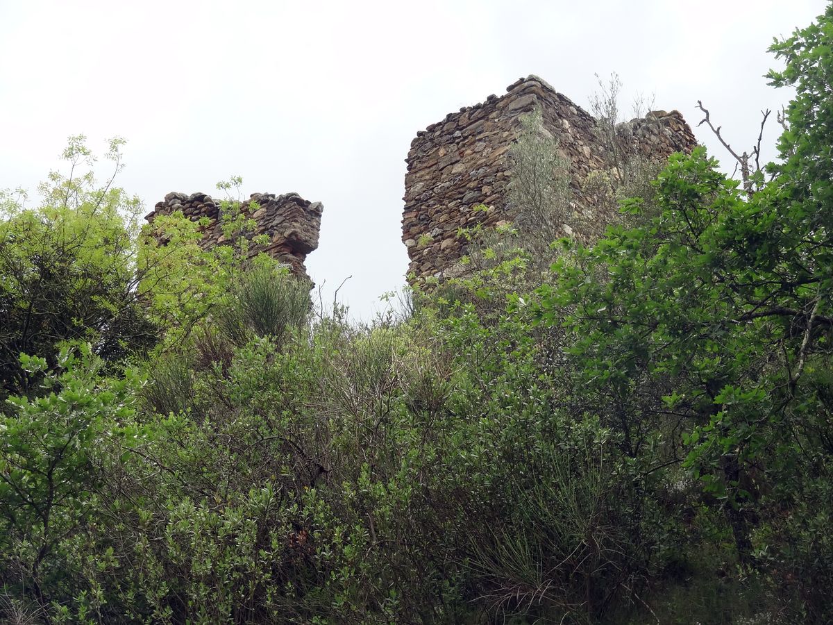 Château d'Espira-de-Conflent