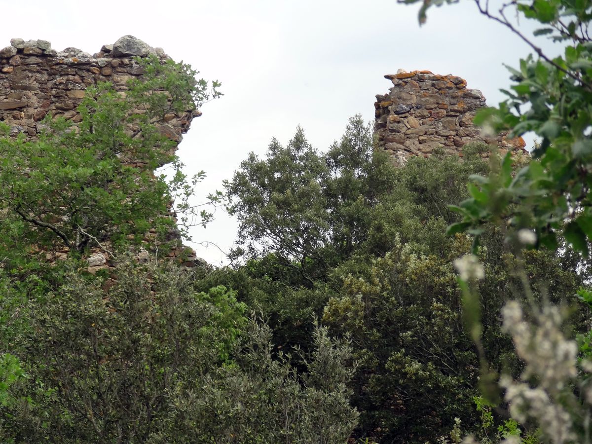 Château d'Espira-de-Conflent