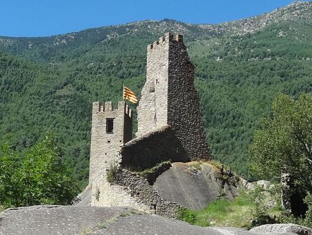 Le château de Carol