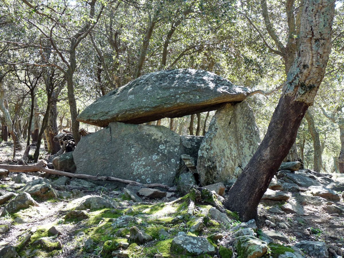 Dolmen de la Siureda