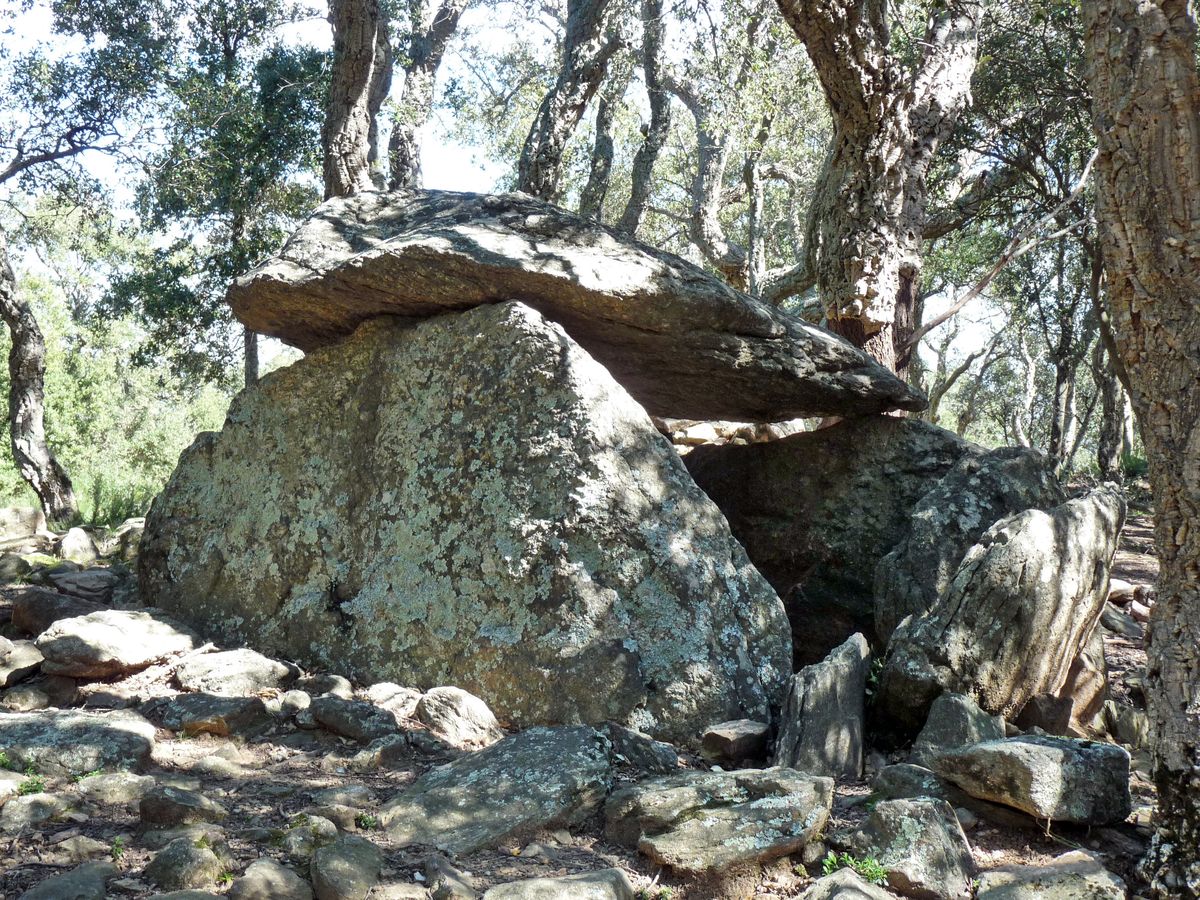 Dolmen de la Siureda