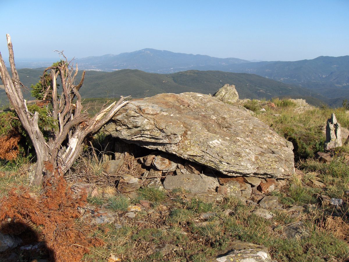 Dolmen de St Marsal