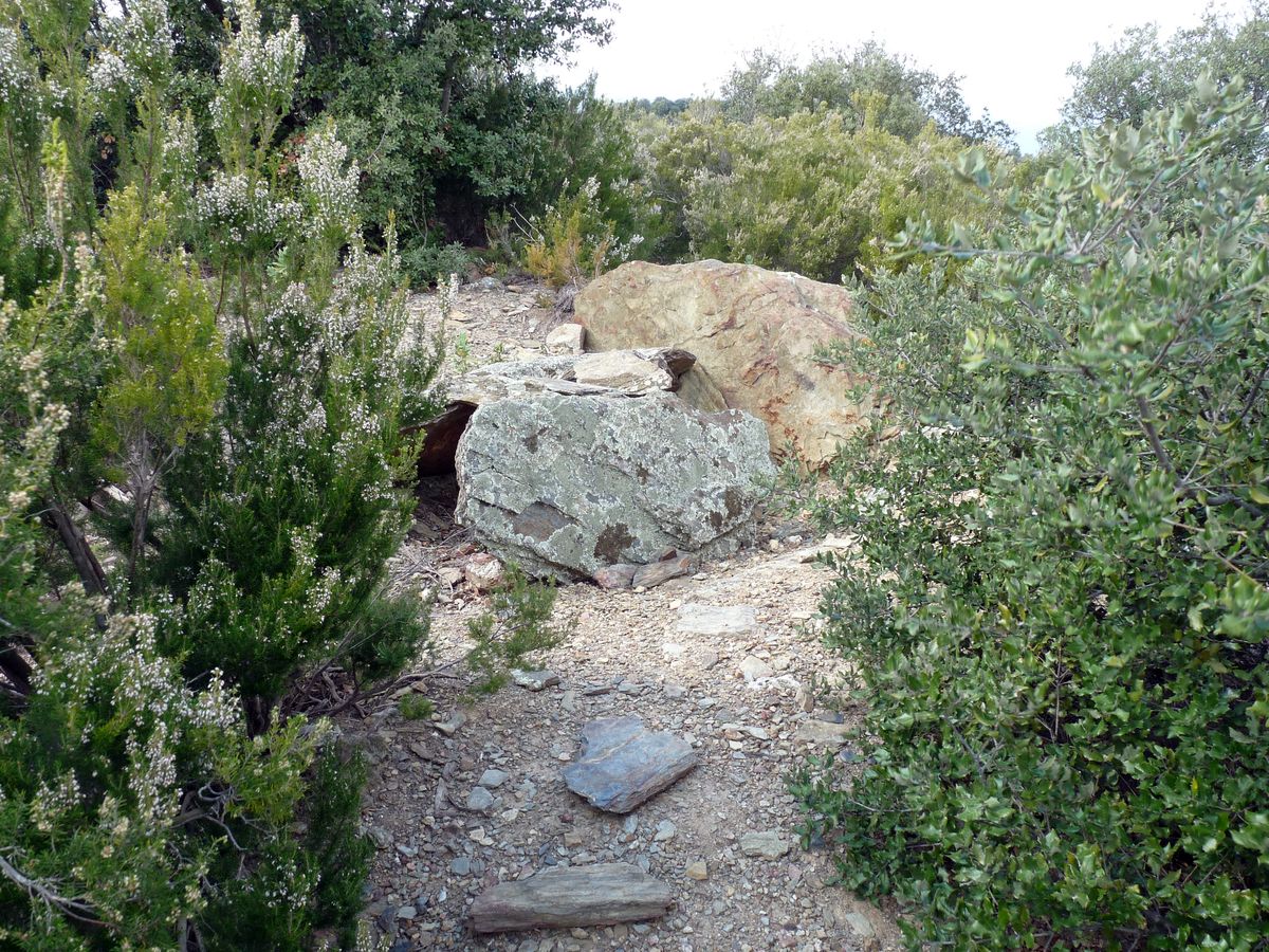 Dolmen des Mouillères