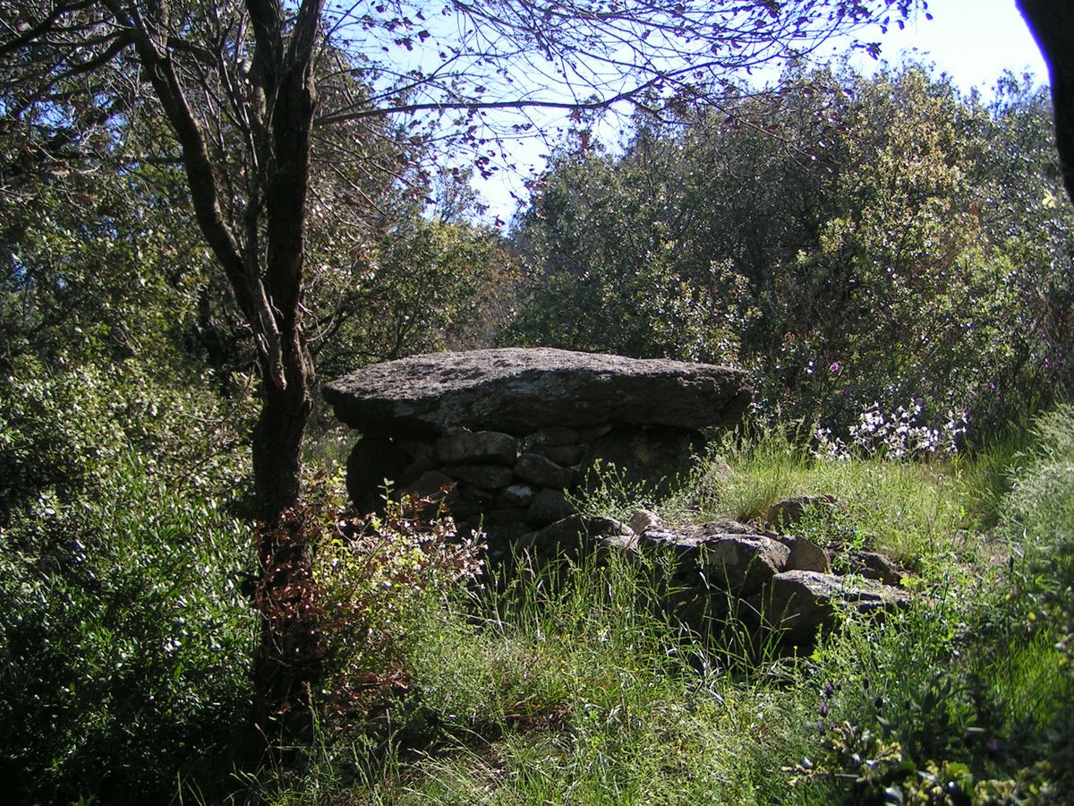 Dolmen du Camp del Prat