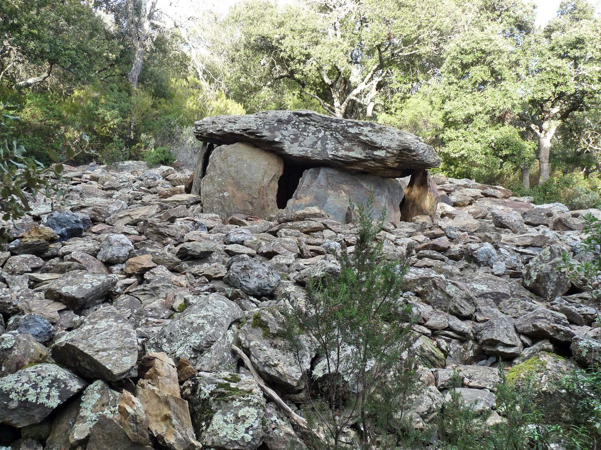 Dolmen du col dela Llosa