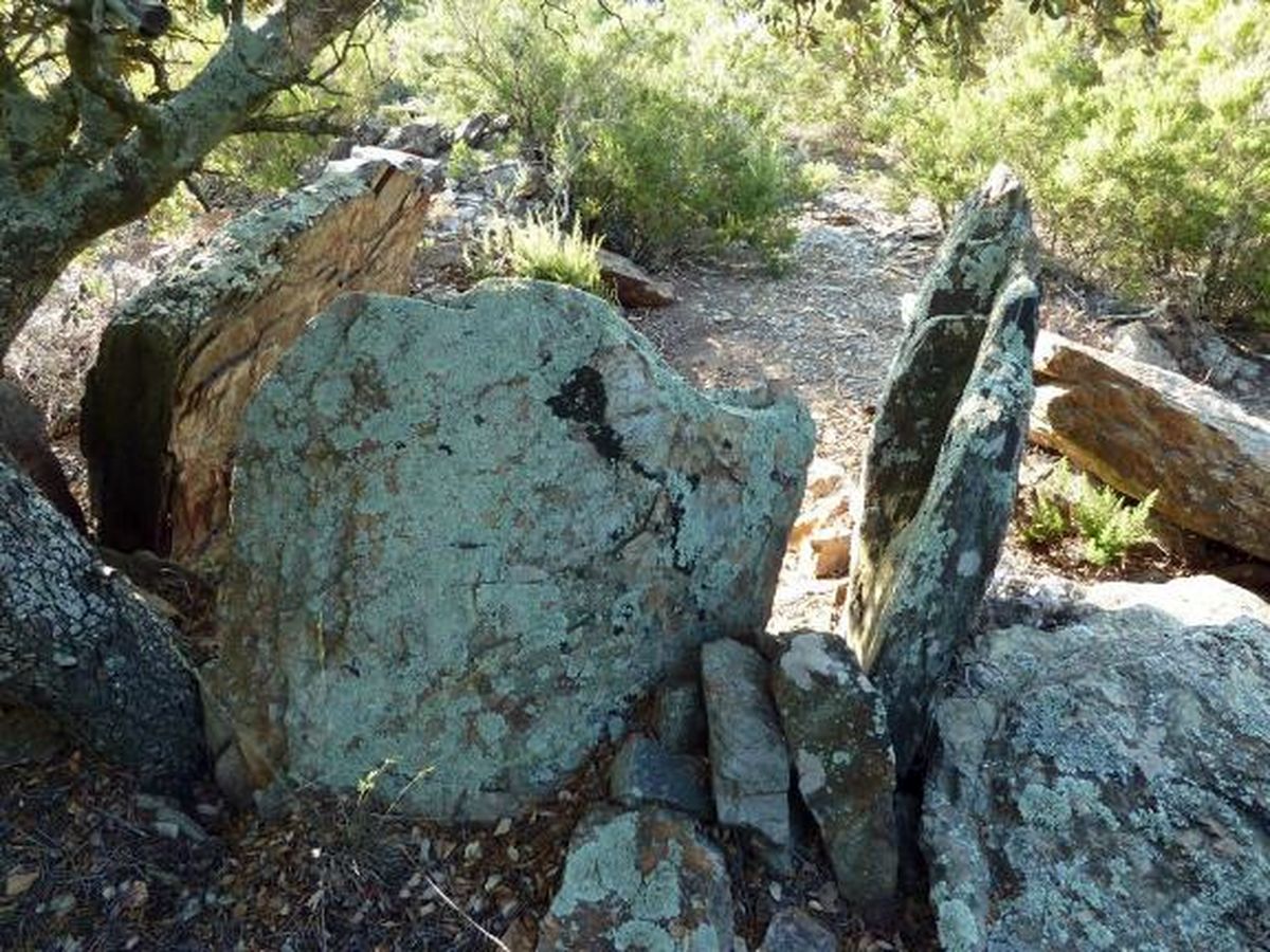 Dolmen du mas Payrot