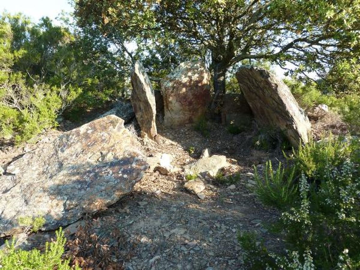 Dolmen du mas Payrot