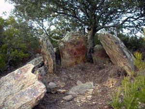 Dolmen du mas Payrot