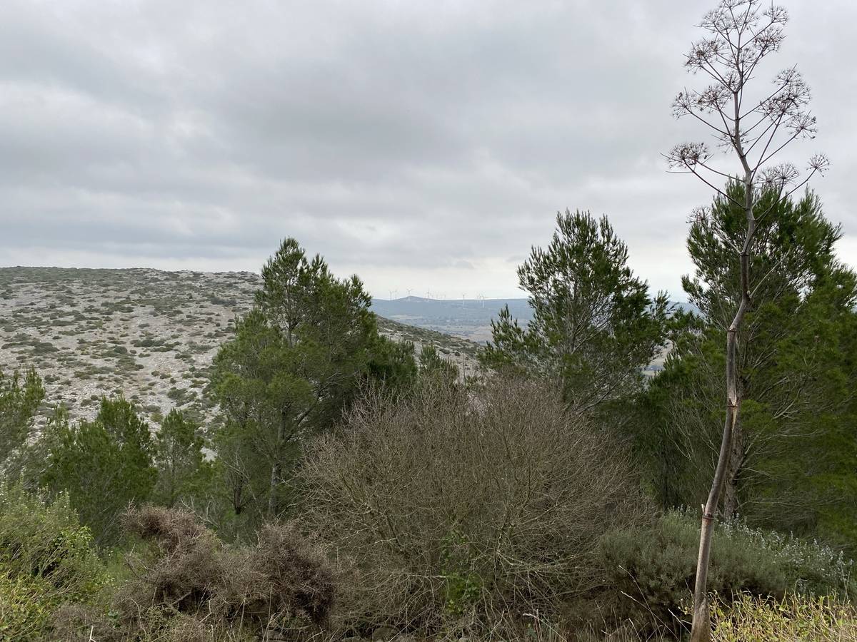 Eoliennes d'Opoul