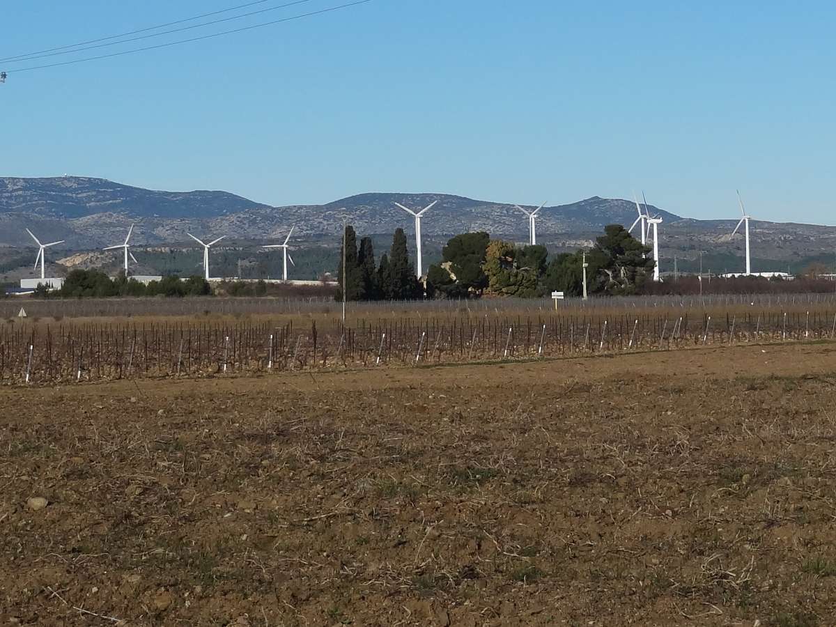 Eoliennes de Rivesaltes