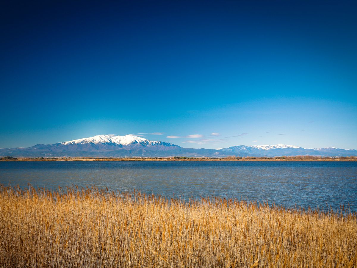 Etang de Canet