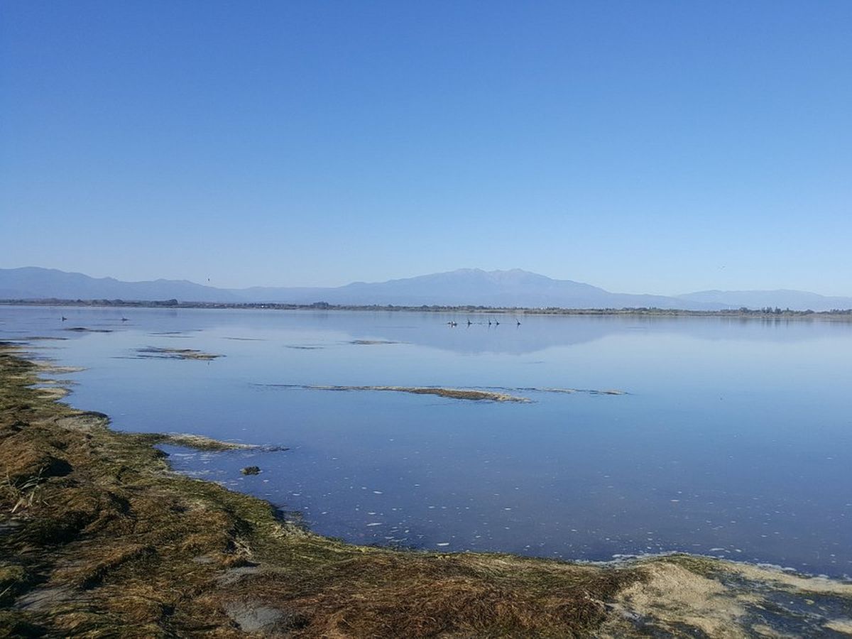 Etang de Canet