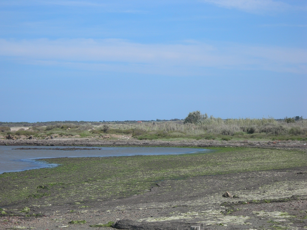 Etang de Salses