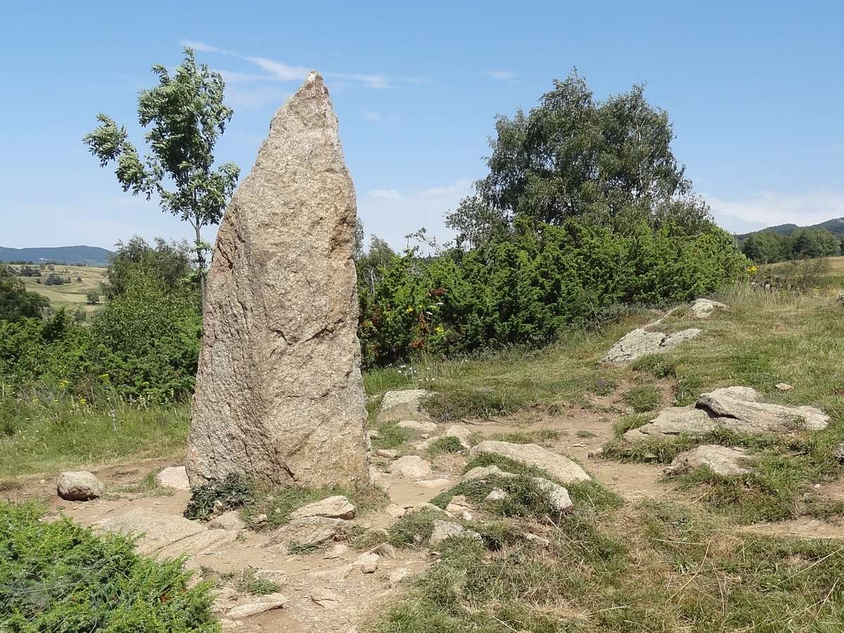 Menhir du Pla del Bosc