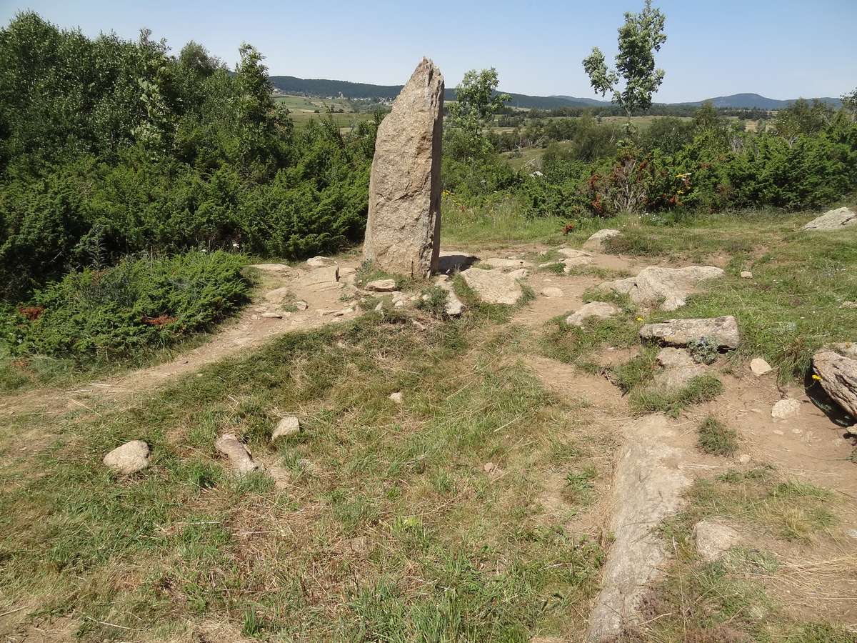 Menhir du Pla del Bosc