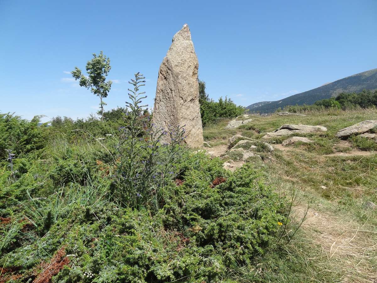 Menhir du Pla del Bosc