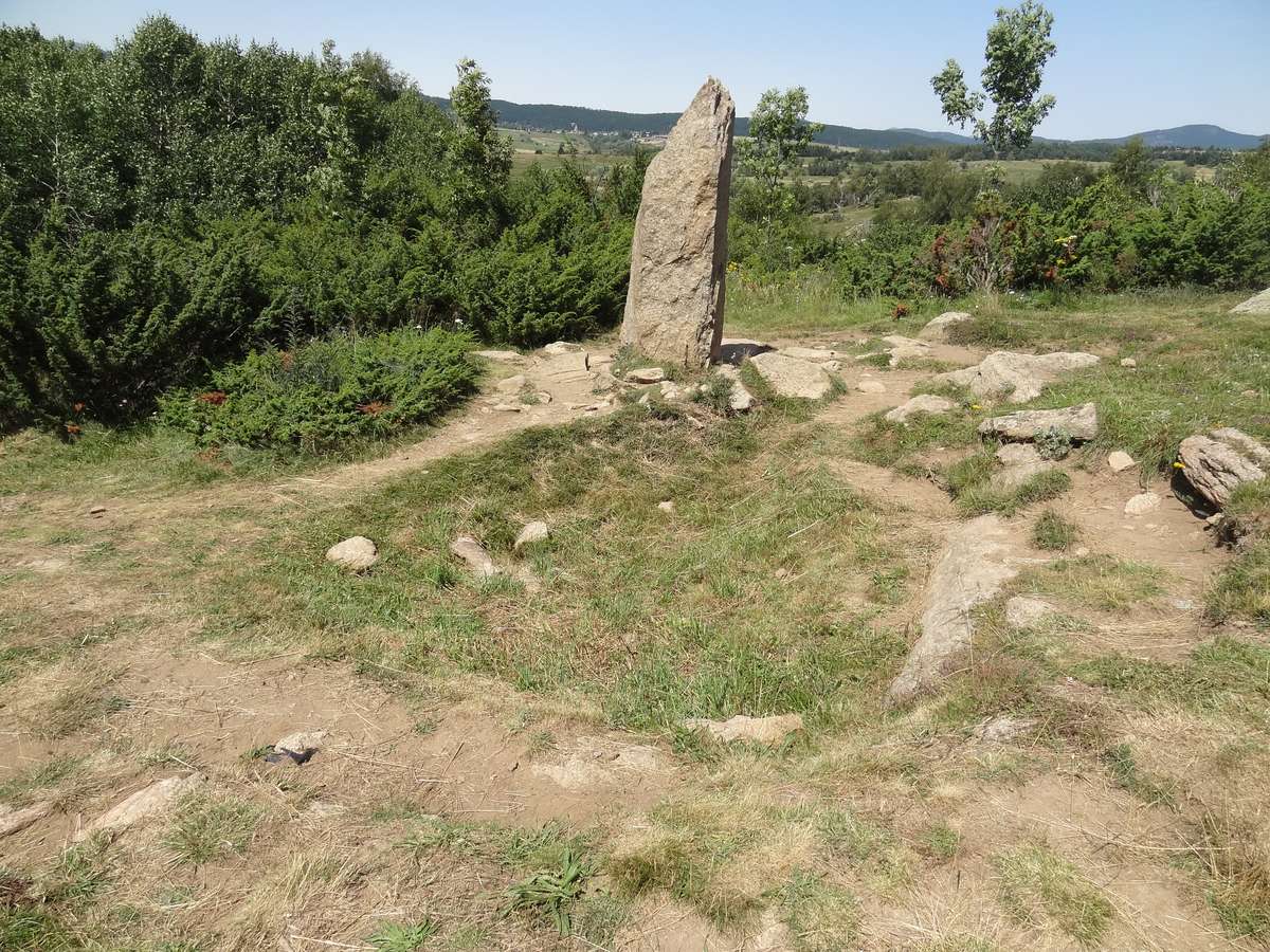 Menhir du Pla del Bosc