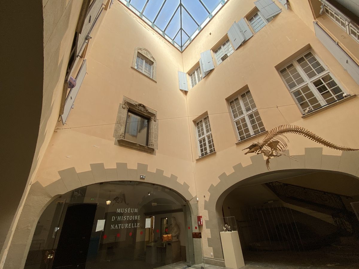 Museum de Perpignan