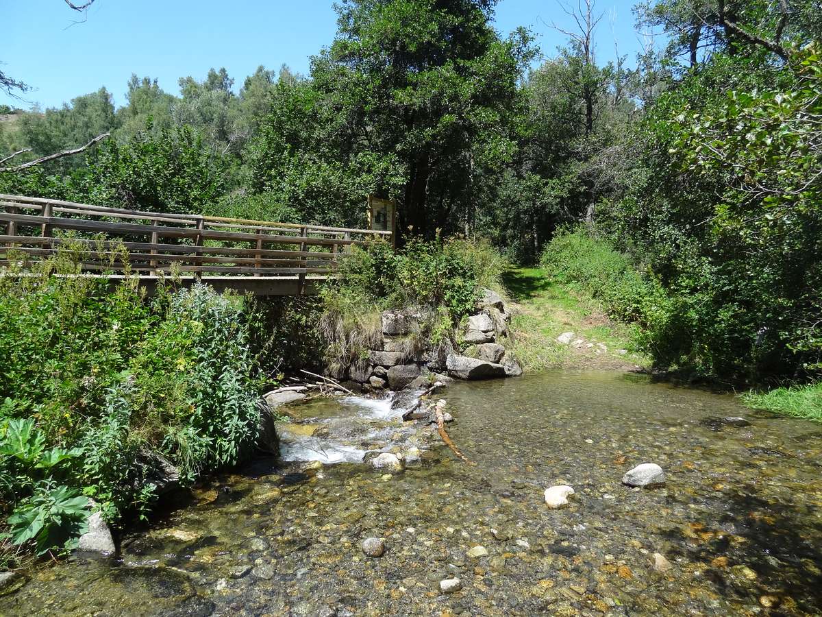 Pont médiéval d'Eyne