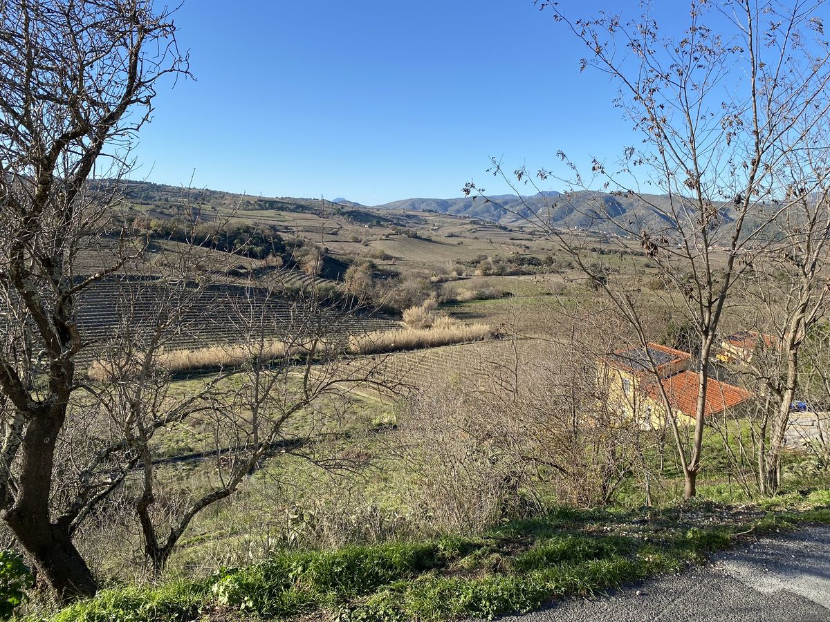 Roque d'En Talou