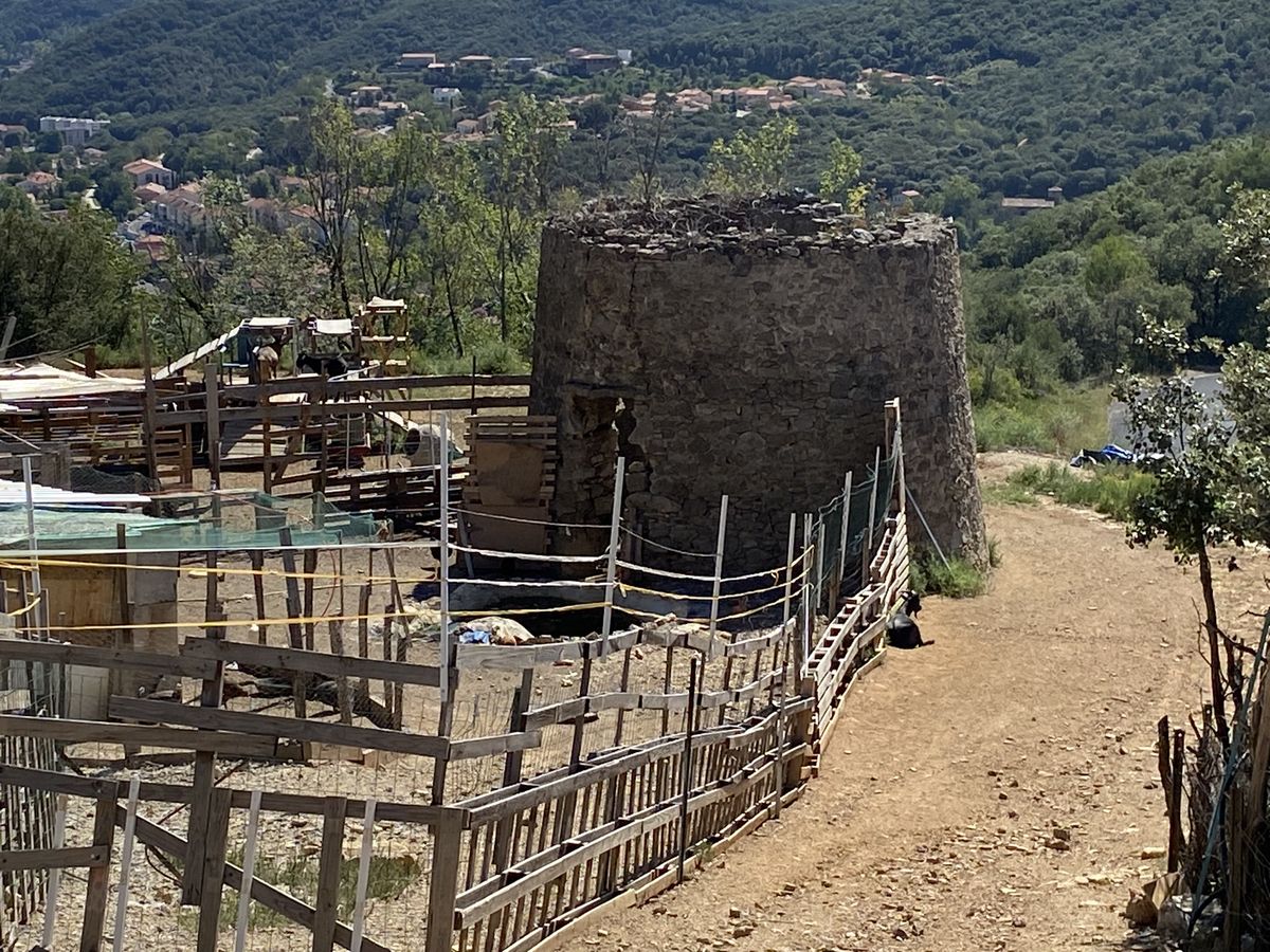 Tour El Banys d'Amélie