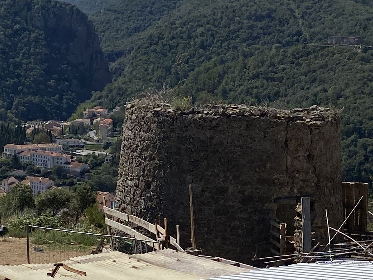 Tour El Banys d'Amélie