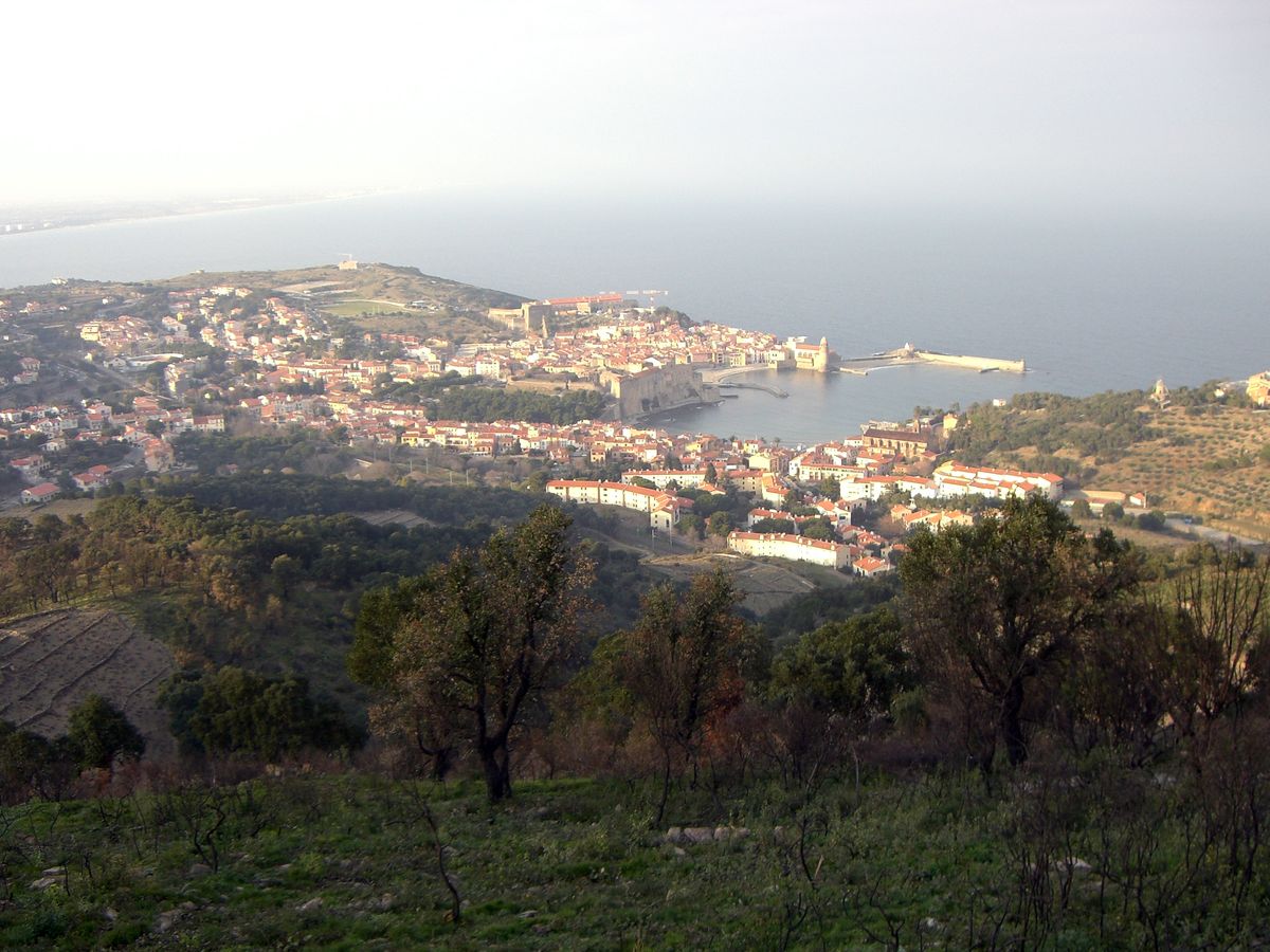 Collioure