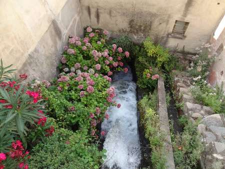 Le canal de distribution de l'eau à Joc, dit Rec Major