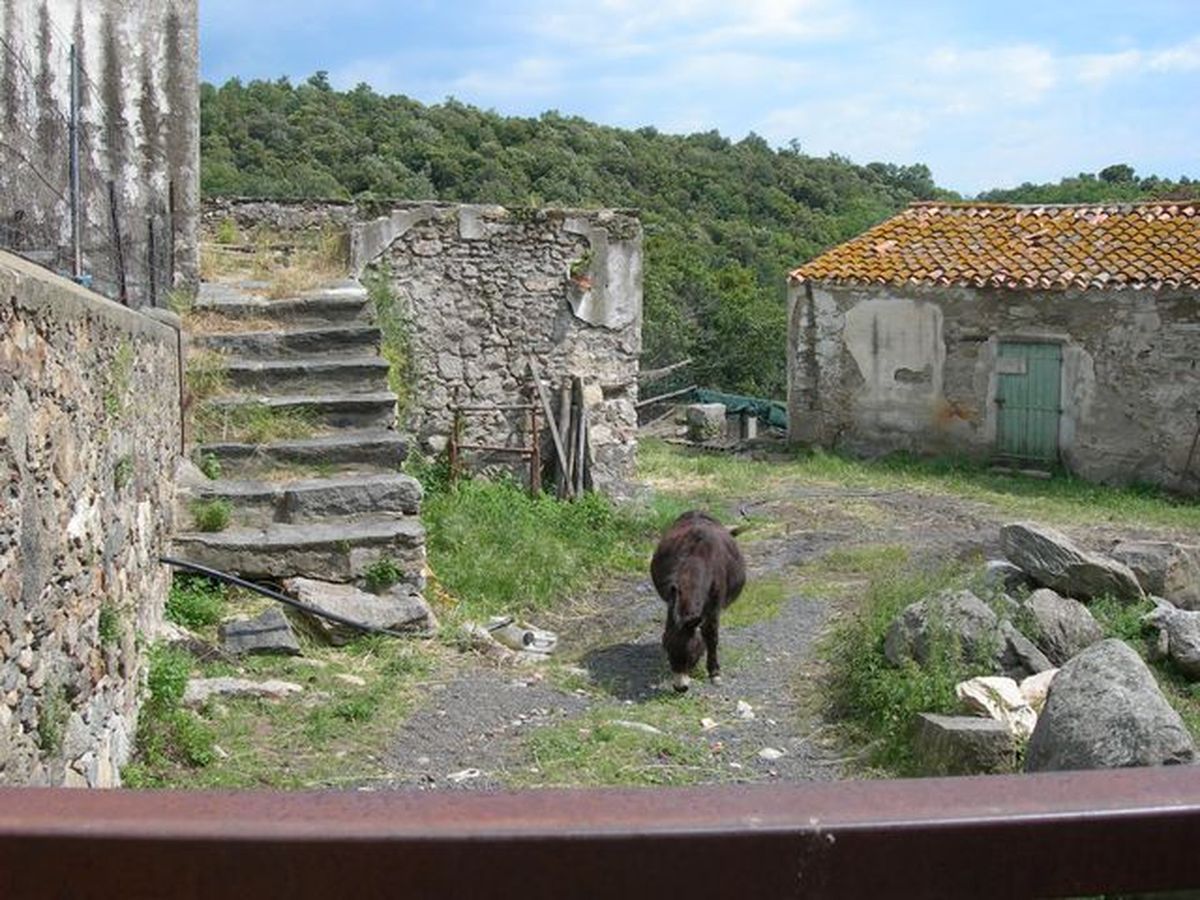 L'Albère