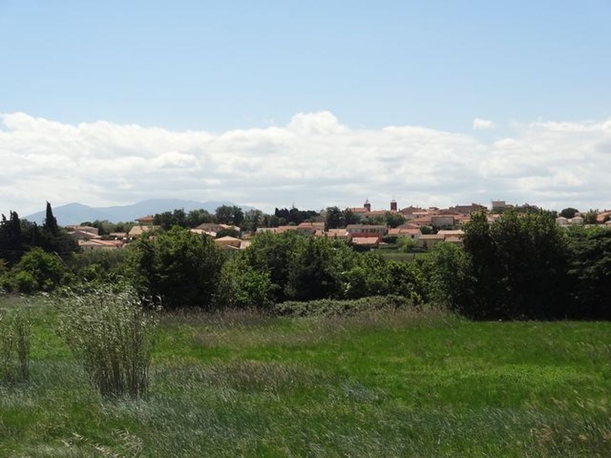 Ponteilla